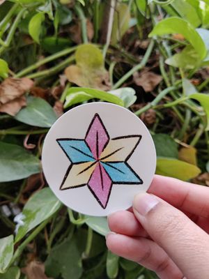 Trans flag star sticker